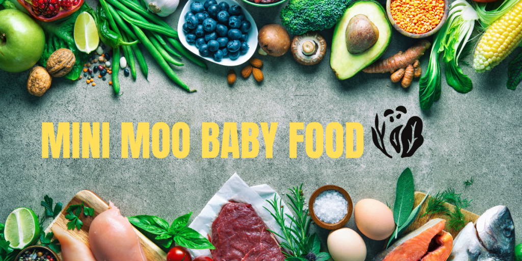 Mini moo baby food